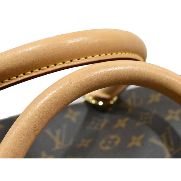 Louis Vuitton Dog Bag Pet Carrier Monogram Brown - Picture 9 of 16